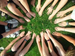 Viele Hände berühren Gras, Verbundenheit Viele Hände berühren Gras, Verbundenheit